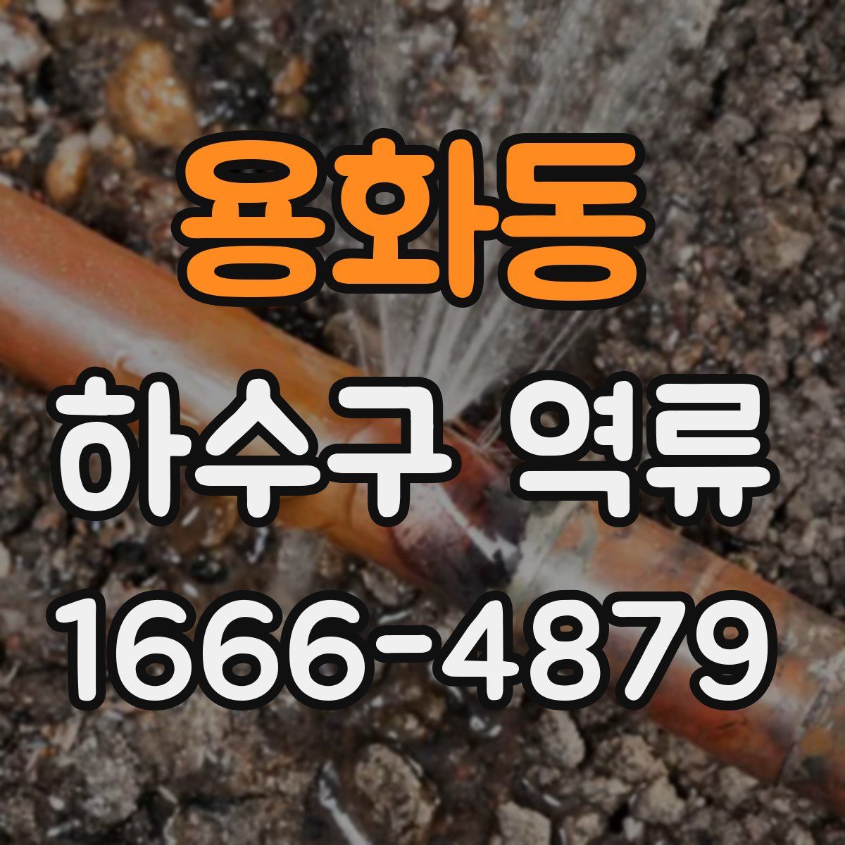 용화동 하수구 역류