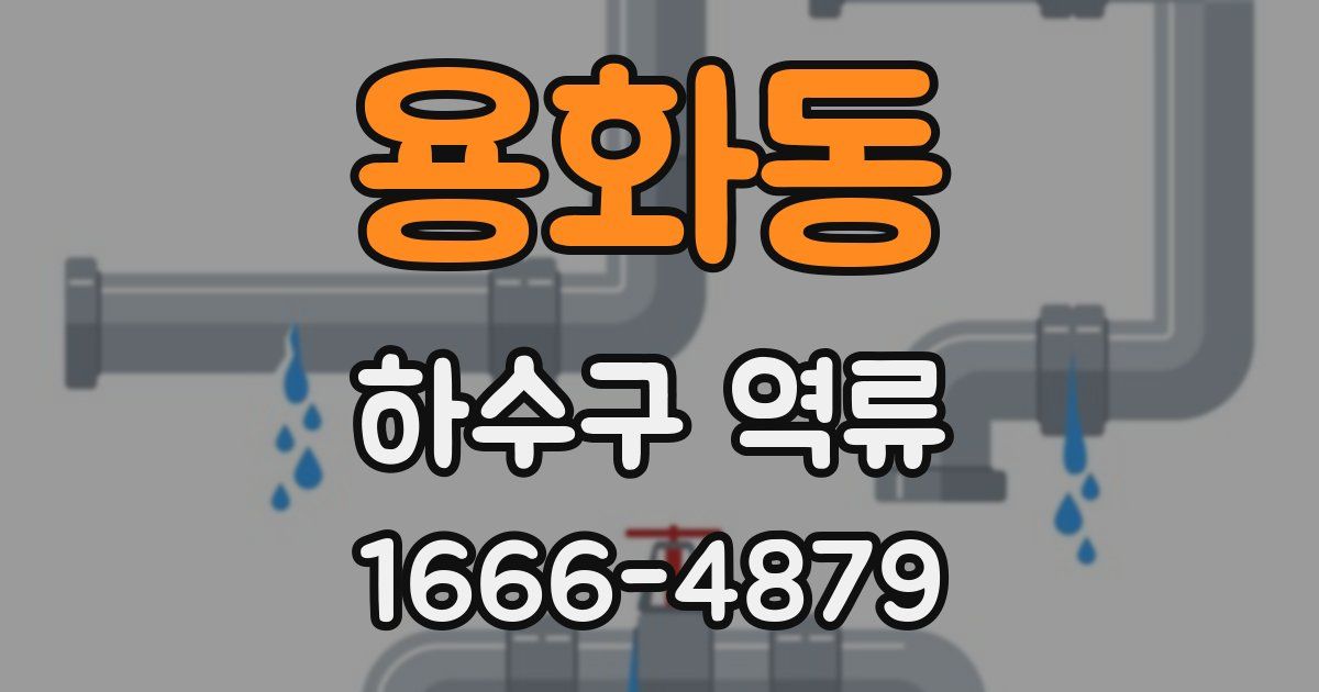 용화동 하수구 역류