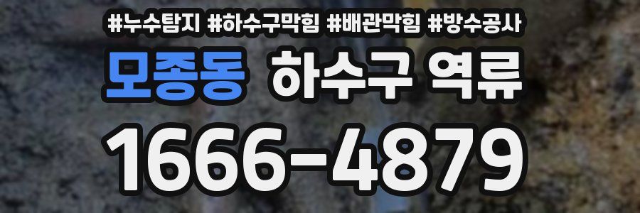 모종동 하수구 역류