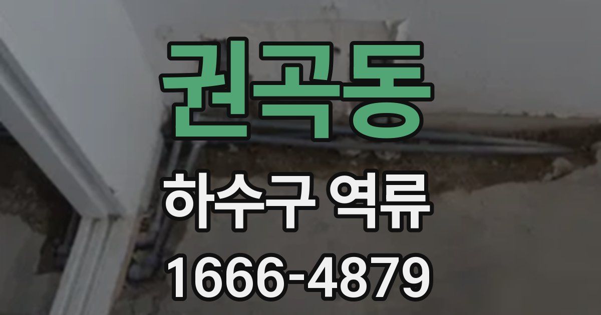 권곡동 하수구 역류