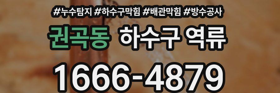 권곡동 하수구 역류
