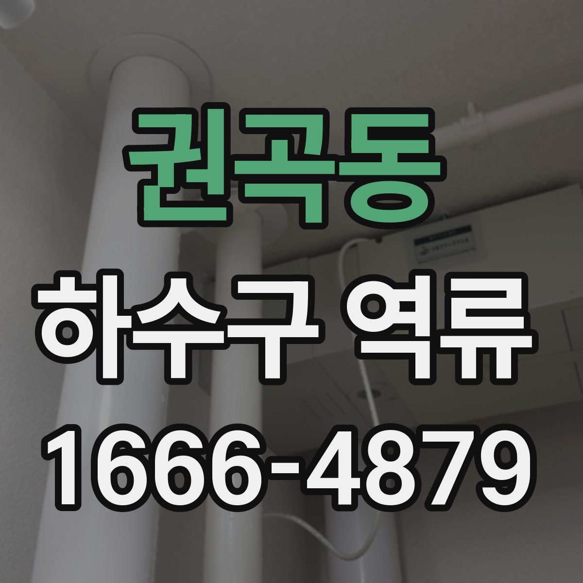 권곡동 하수구 역류