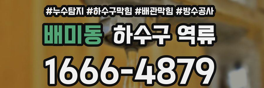배미동 하수구 역류