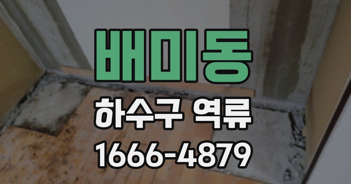 배미동 하수구 역류