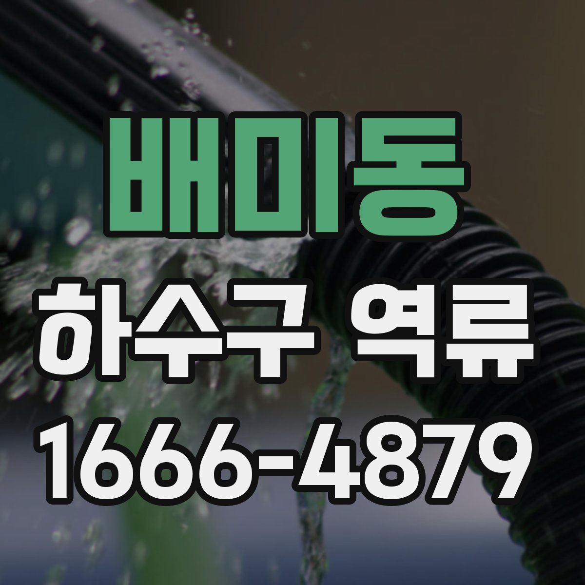 배미동 하수구 역류