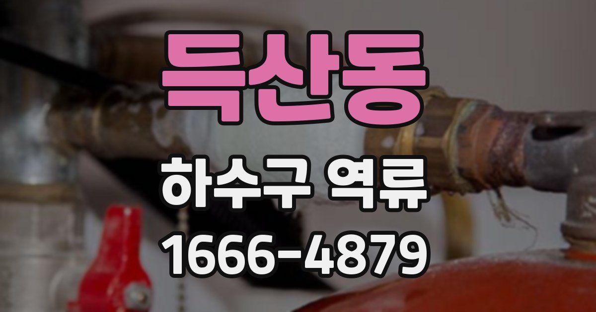득산동 하수구 역류
