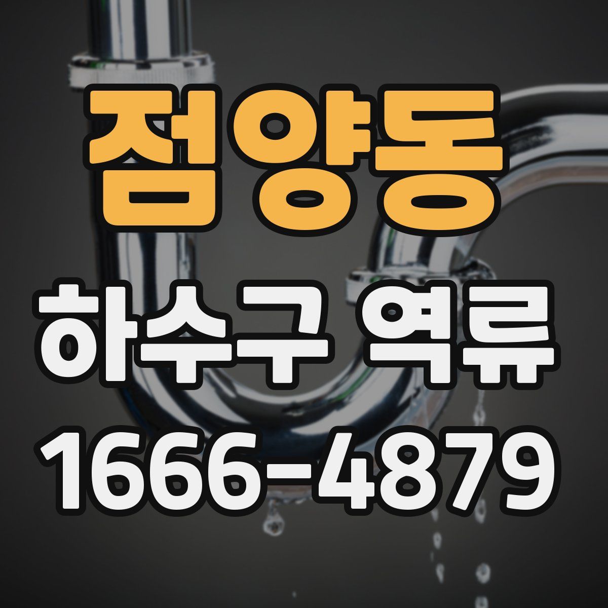 점양동 하수구 역류