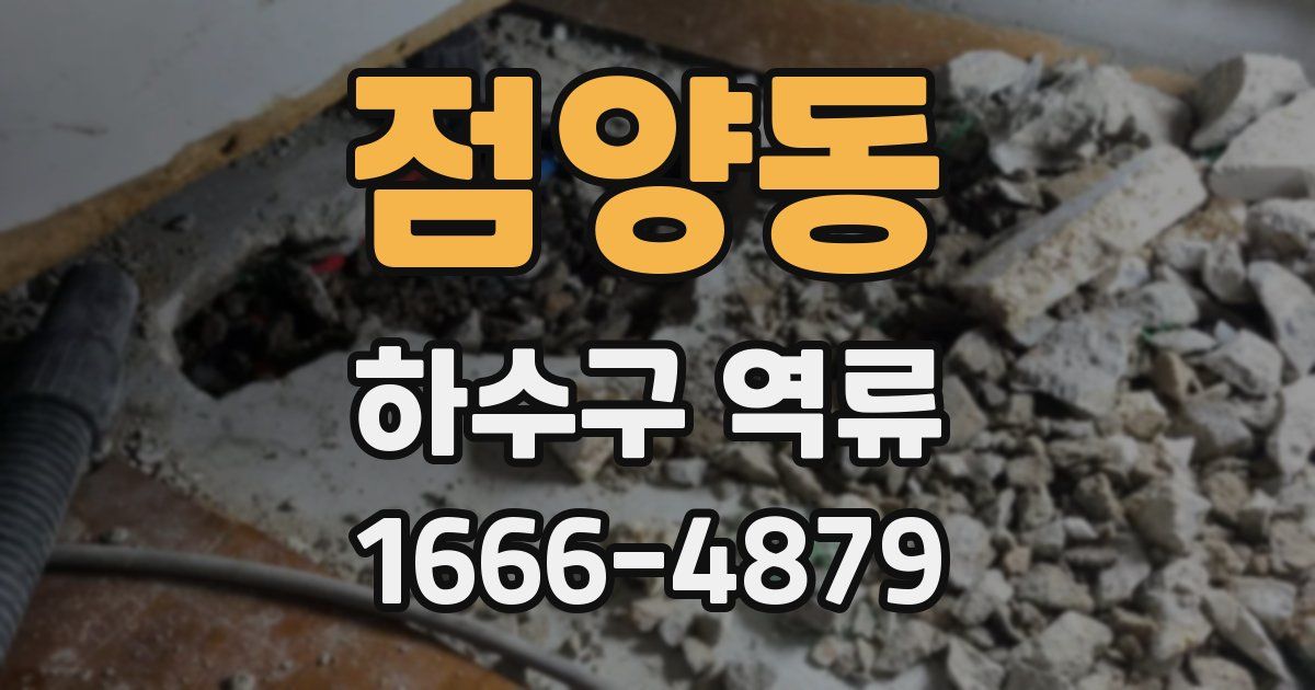 점양동 하수구 역류