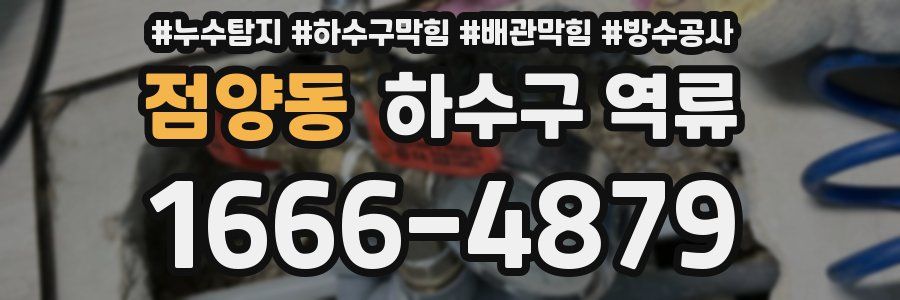 점양동 하수구 역류