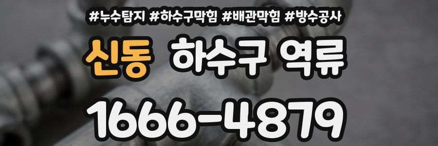 신동 하수구 역류