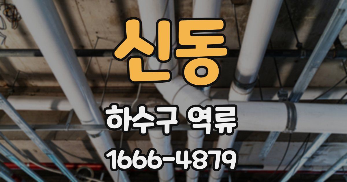 신동 하수구 역류