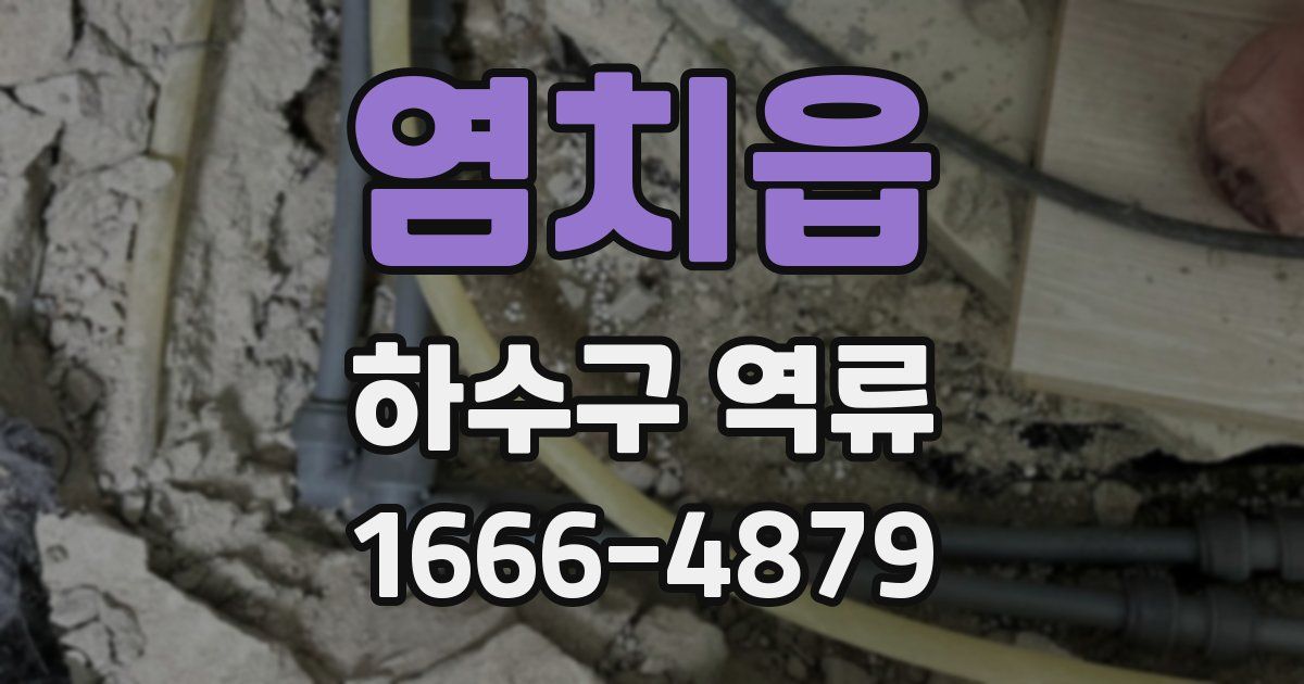 염치읍 하수구 역류