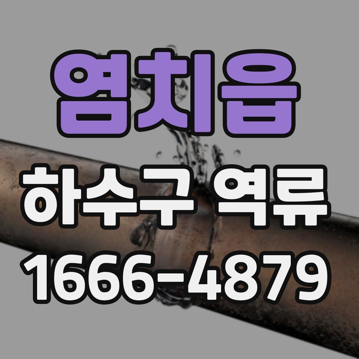 염치읍 하수구 역류
