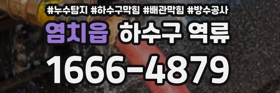 염치읍 하수구 역류