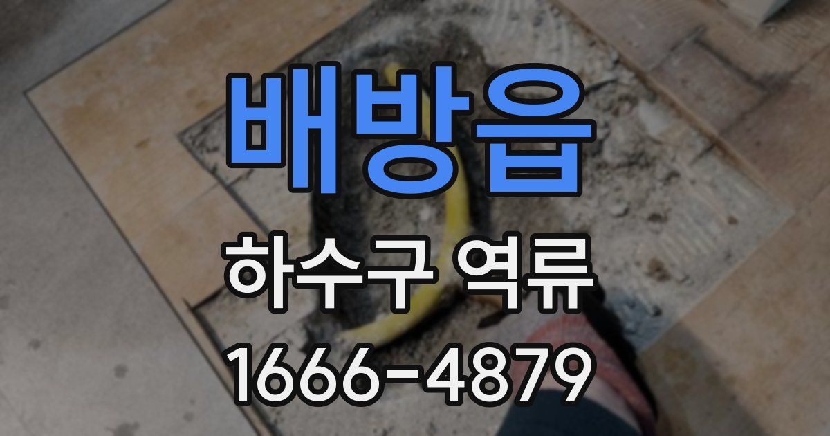 배방읍 하수구 역류