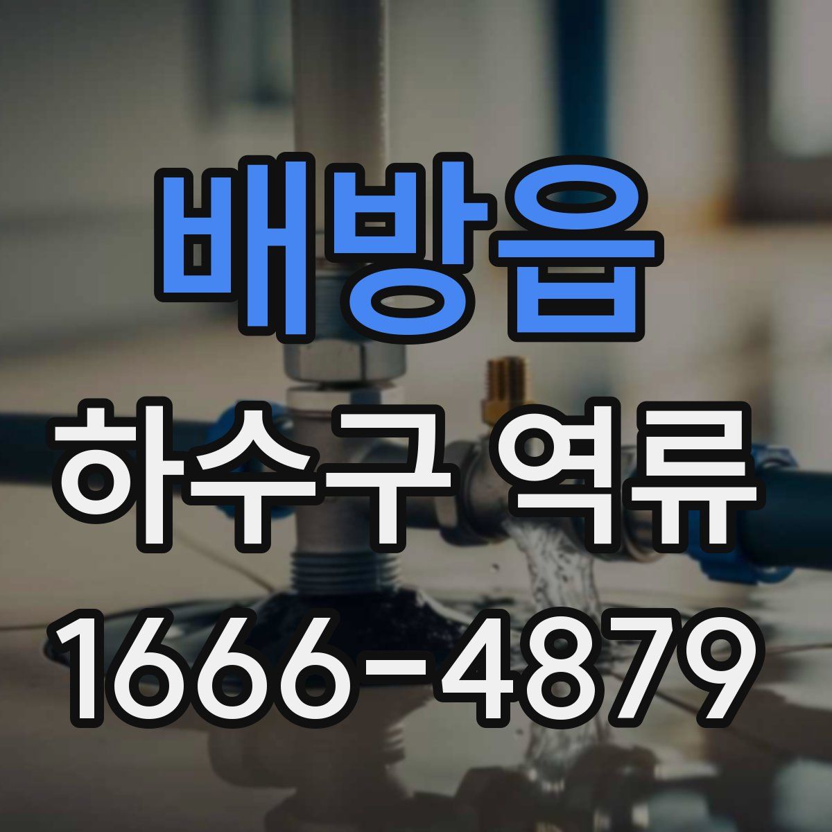 배방읍 하수구 역류