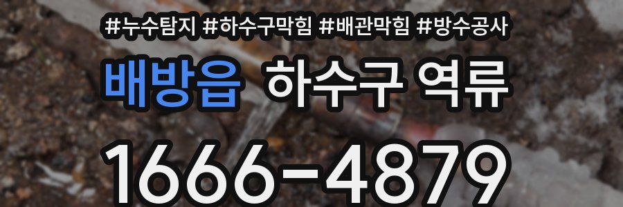 배방읍 하수구 역류