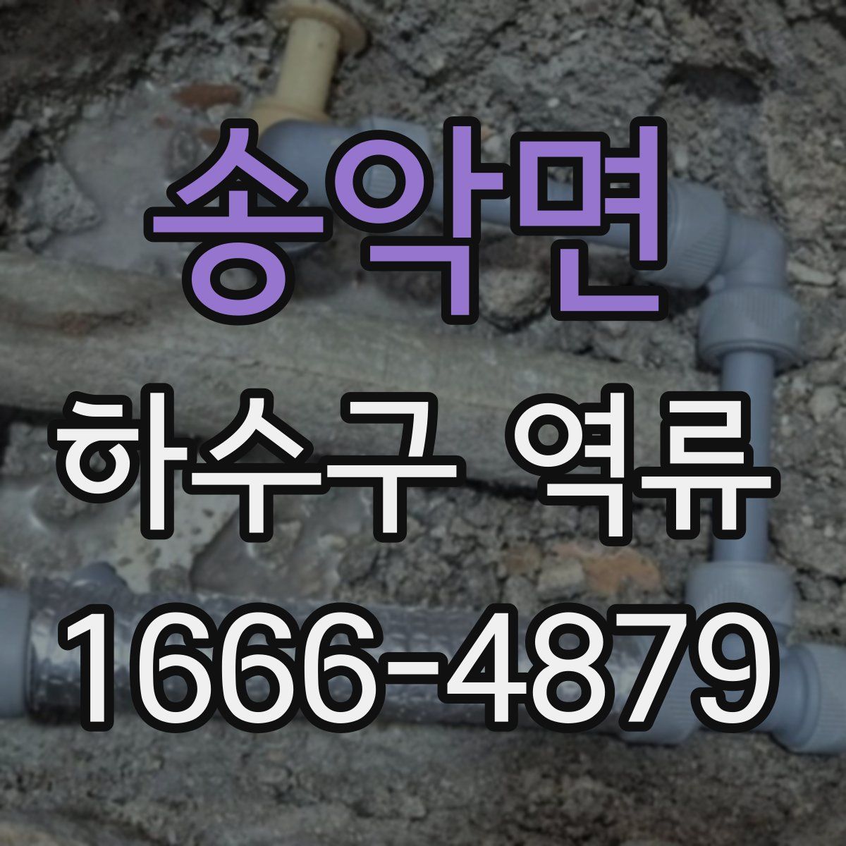 송악면 하수구 역류