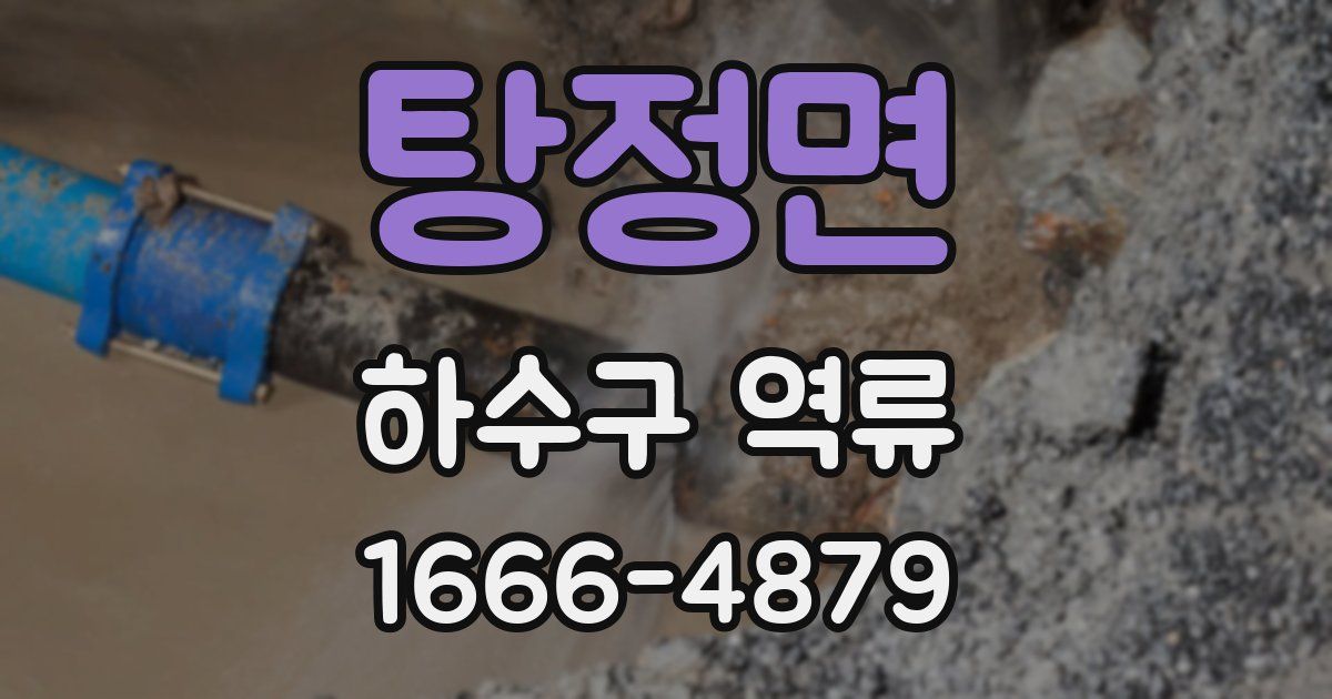 탕정면 하수구 역류