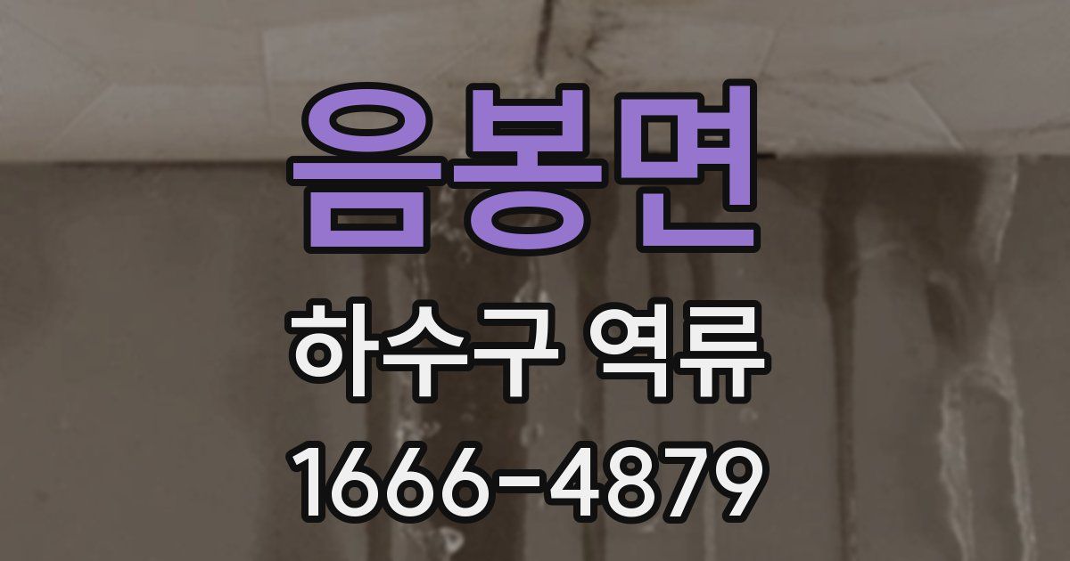 음봉면 하수구 역류