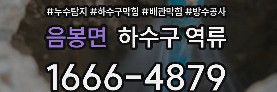 음봉면 하수구 역류