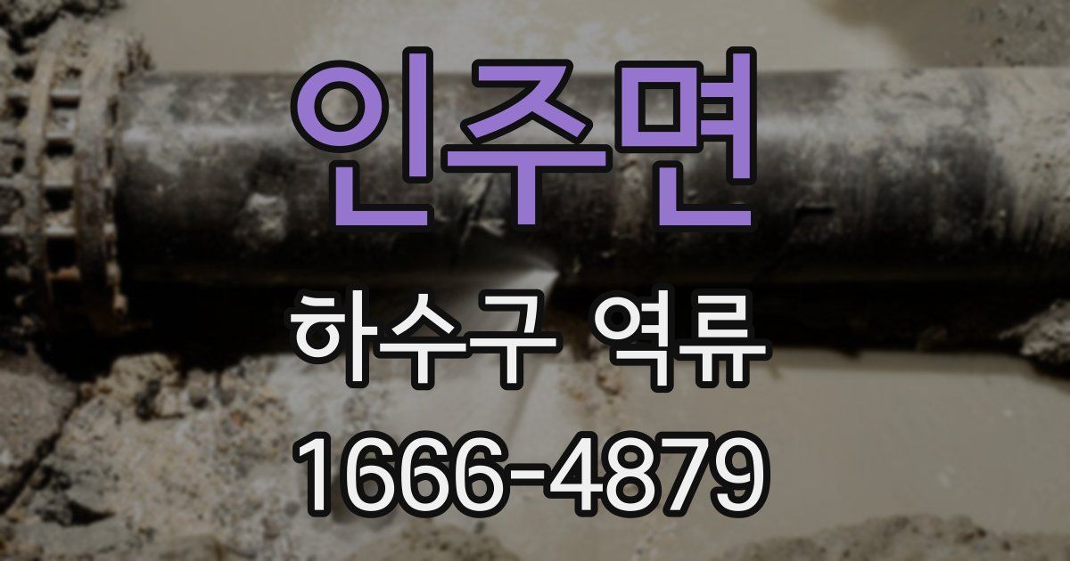 인주면 하수구 역류