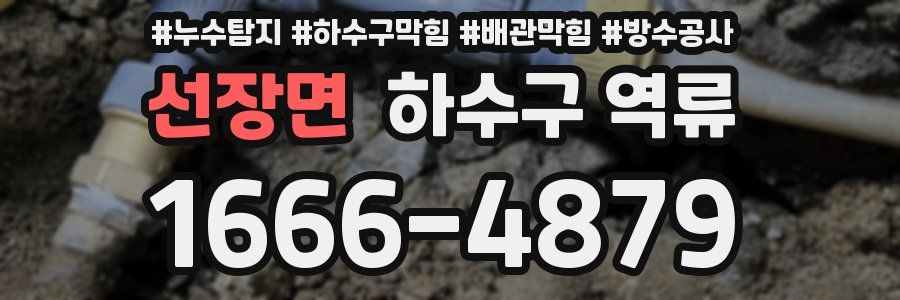 선장면 하수구 역류