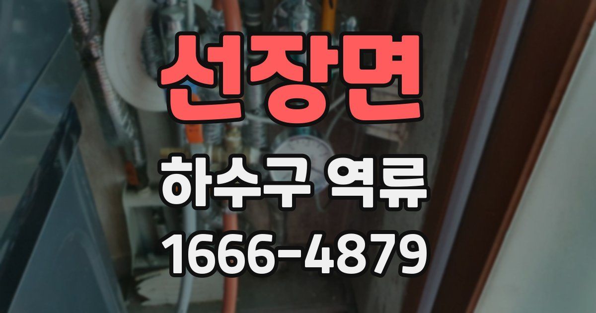 선장면 하수구 역류