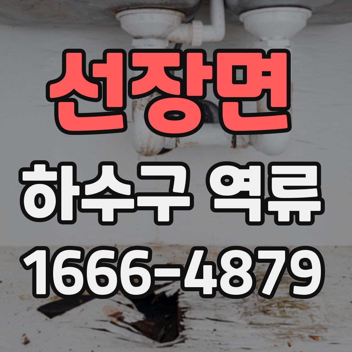 선장면 하수구 역류