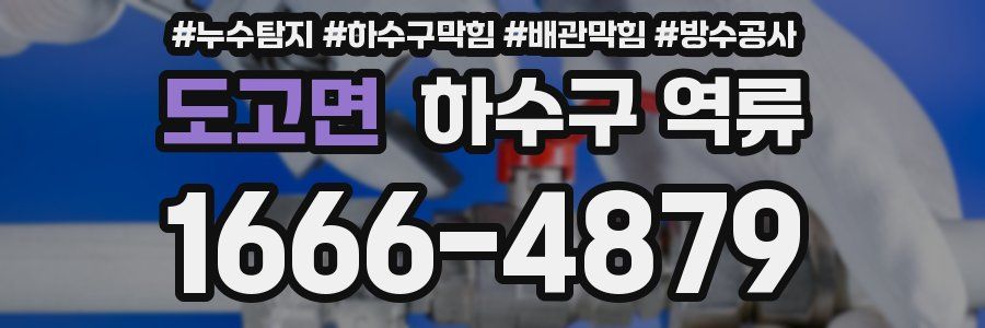 도고면 하수구 역류