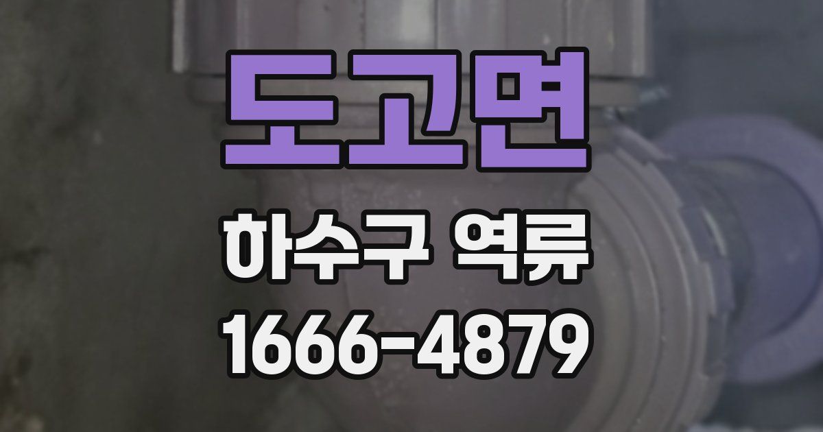 도고면 하수구 역류