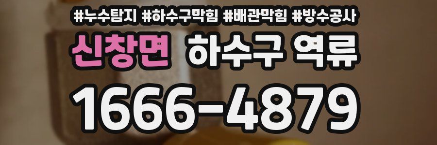 신창면 하수구 역류
