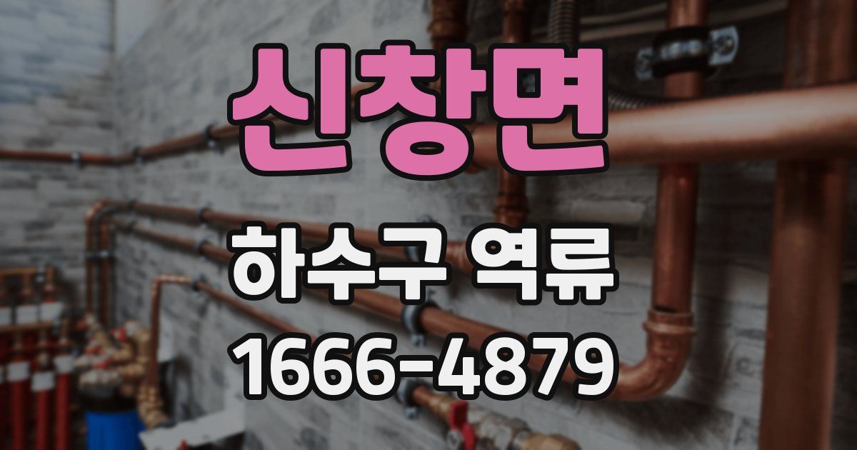 신창면 하수구 역류