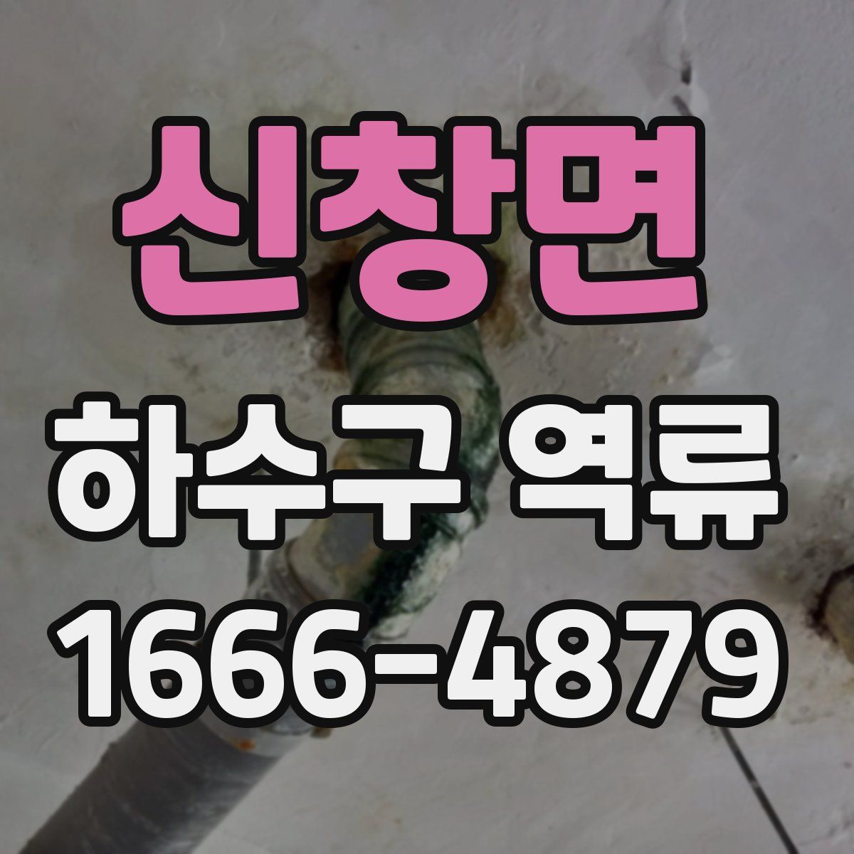 신창면 하수구 역류