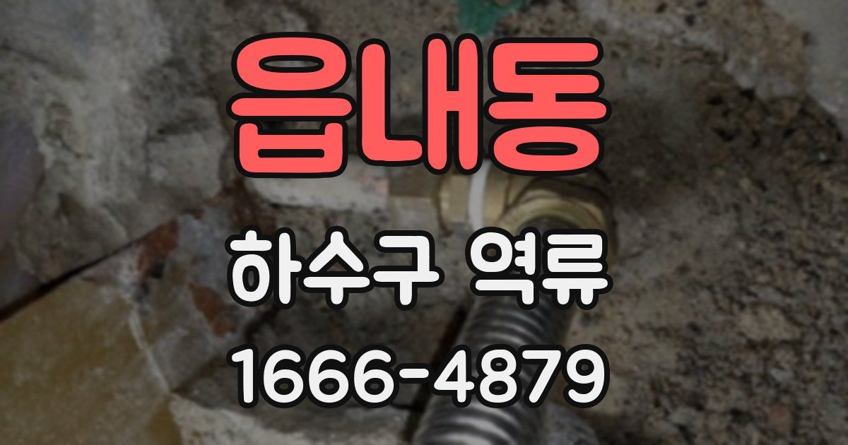 읍내동 하수구 역류