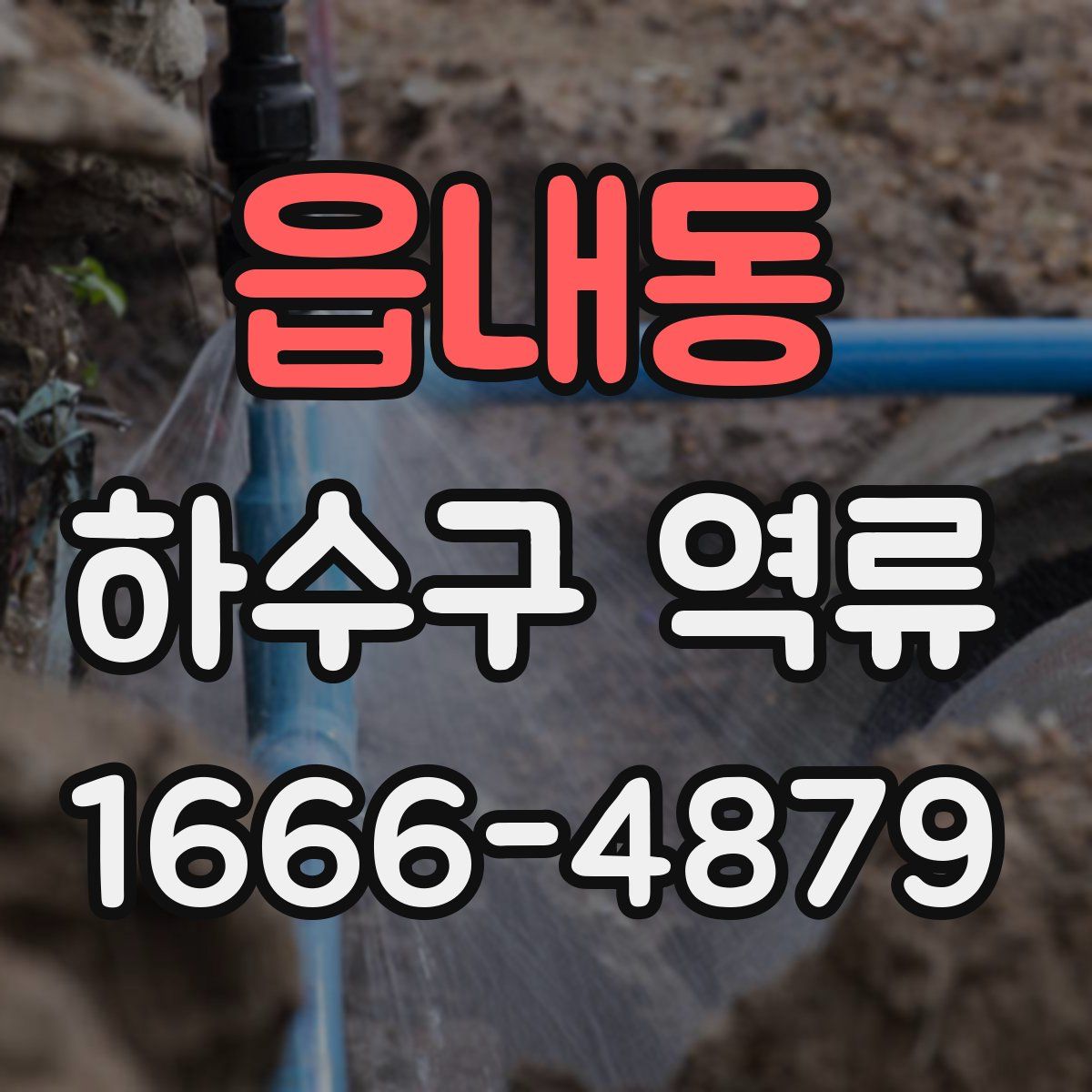 읍내동 하수구 역류