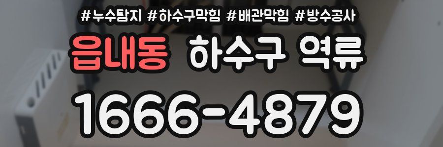 읍내동 하수구 역류