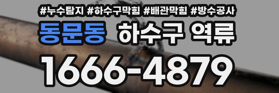 동문동 하수구 역류