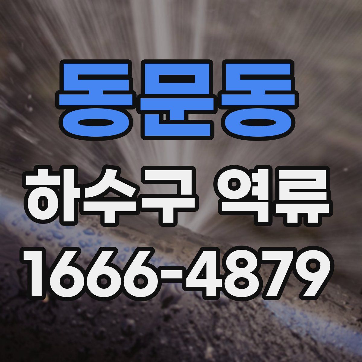 동문동 하수구 역류