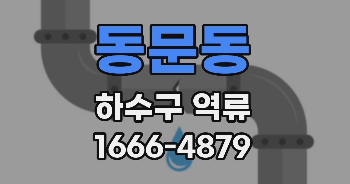 동문동 하수구 역류