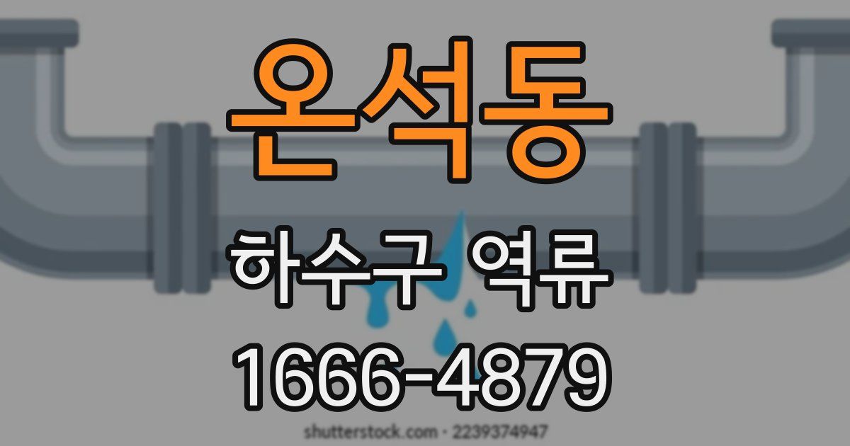 온석동 하수구 역류