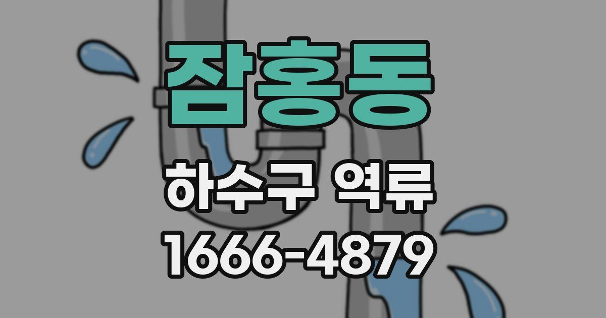 잠홍동 하수구 역류