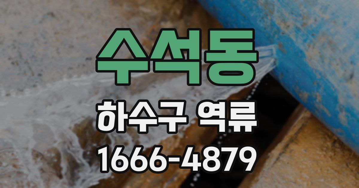 수석동 하수구 역류