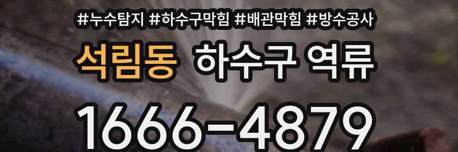 석림동 하수구 역류