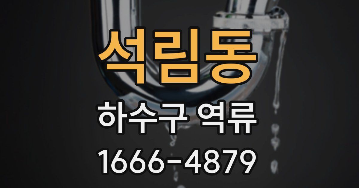 석림동 하수구 역류