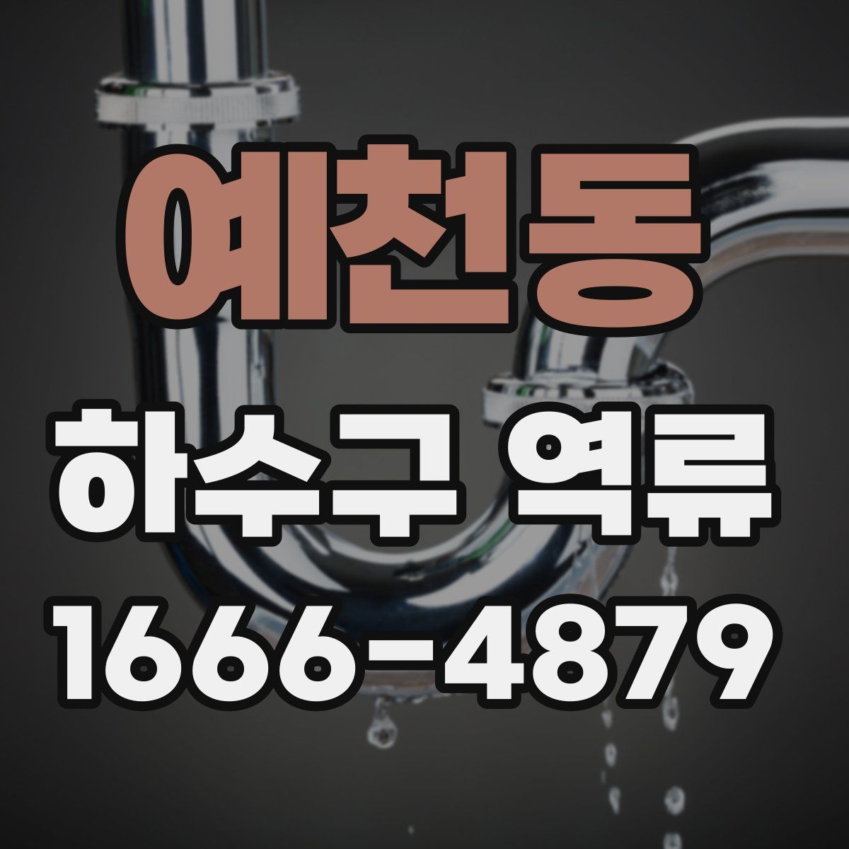 예천동 하수구 역류