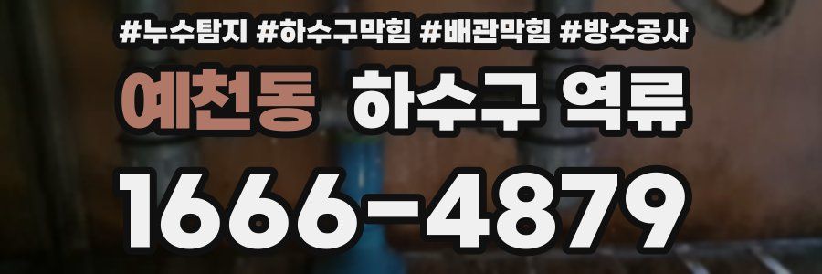 예천동 하수구 역류