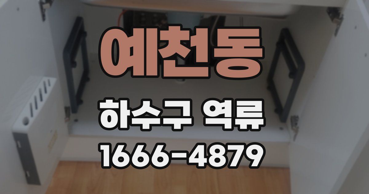 예천동 하수구 역류