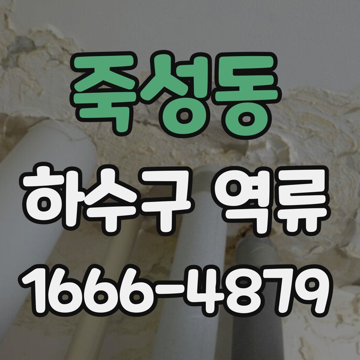 죽성동 하수구 역류