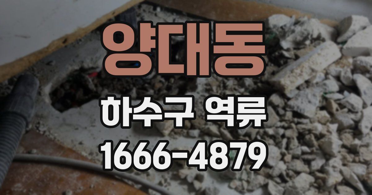양대동 하수구 역류